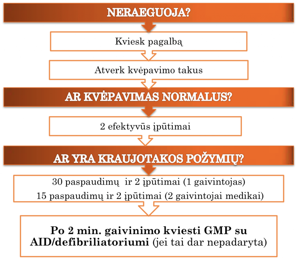 PRADINIS VAIKO GAIVINIMAS
