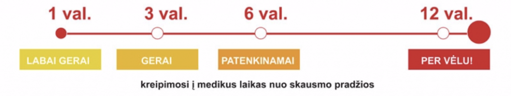 Pirmosios valandos nuo skausmo pradžios