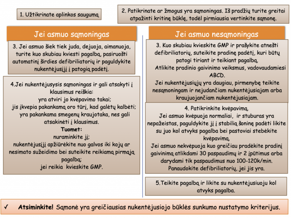 Prieš teikiant pirmąją pagalbą Jūs turite nustatyti įvykio priežastį
