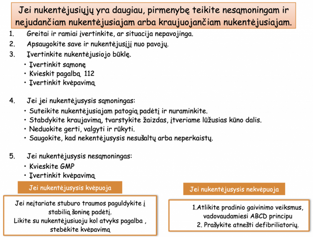 Prisimenam esminius dalykus