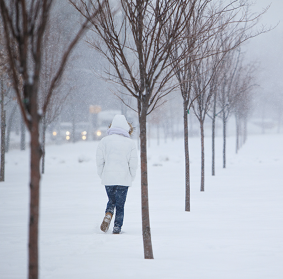 Dažniausiai nušąla drabužiais nepridengtos kūno vietos: ausys, nosis, skruostai