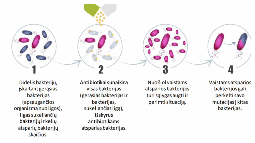 Kaip Susikuria Atsparumas Antimikrobinėms Medžiagoms